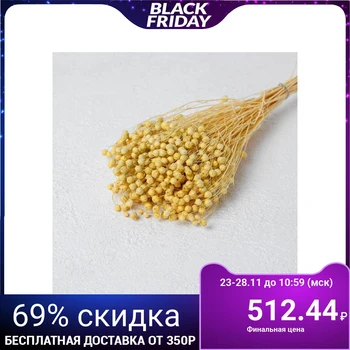 

Dried flowers "Abrus" set 24 pcs, beige