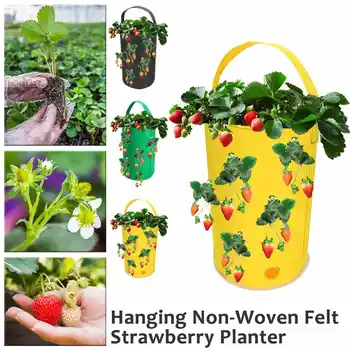 

Hanging Felt Planter Bag Strawberry vanilla Planting Bags Beauty Planting Bags Garden Potted Gardening Supplies