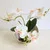 Blanco Tridente Phalaenopsis creativo бонсай имитирующая повязка на голову Фабрикант де plantas de Simulation en macetas - Цвет: Blanco