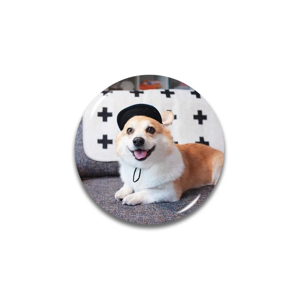 Серия Lychee Corgi 3D магнит на холодильник круглой формы магниты на холодильник сувениры для путешествий украшение для дома и кухни - Цвет: 46