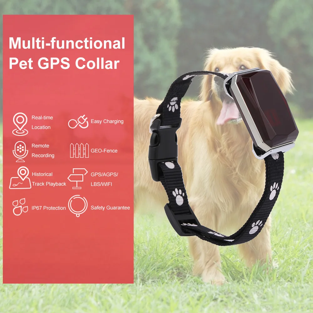 Collar localizador GPS para perros inteligentes, localizador con Cable USB, recargable, para perros y gatos