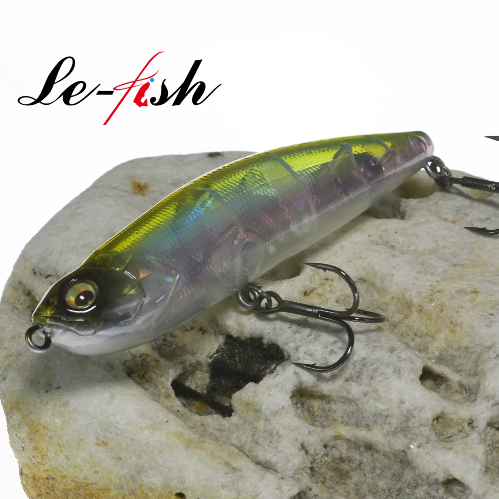 Le Fish 100mm 19g 탑워터 표면 루어 워크 더 도그 베이스 파이크 스파로우 워블러 스틱 미끼 플로팅 펜슬 포퍼