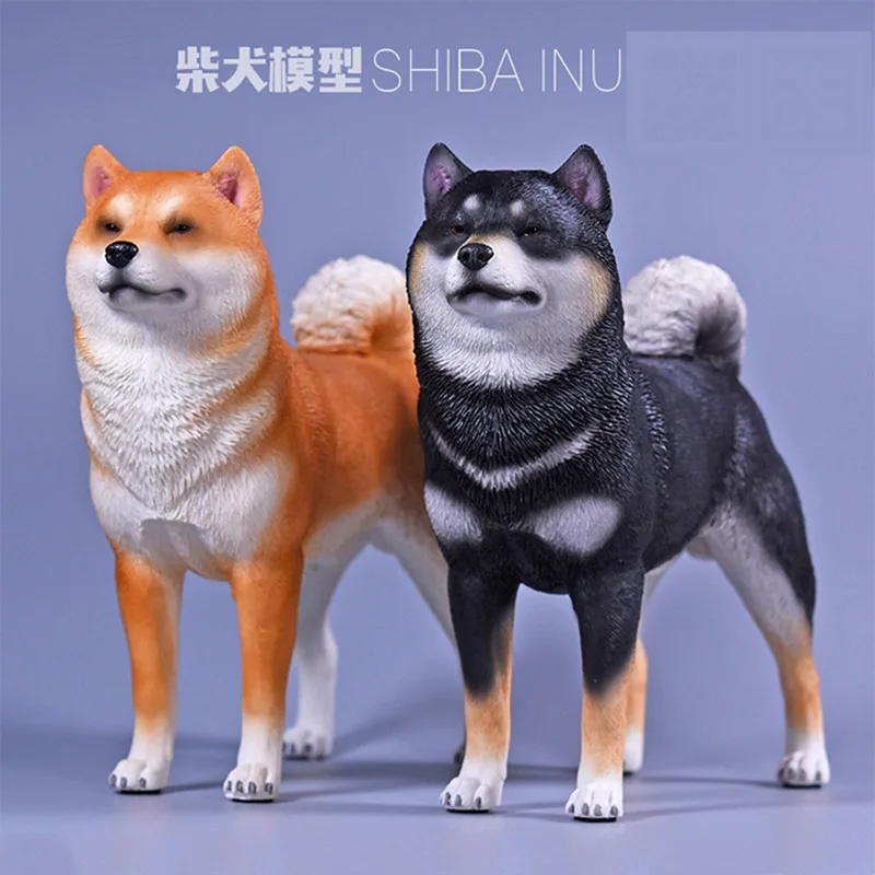 mini akita puppy