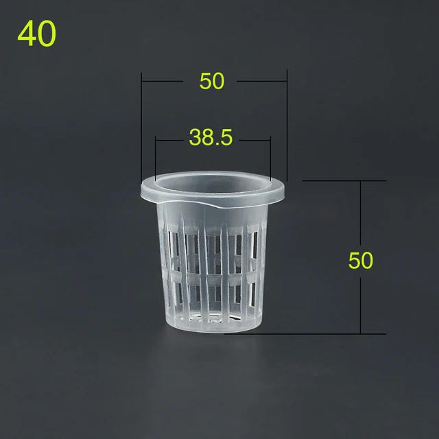 NO.40