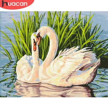 

HUACAN Paint By Number Swan Drawing Canvas Acrylic Handpainted Pictures By Number Animals Wall Art Gift Home Decor