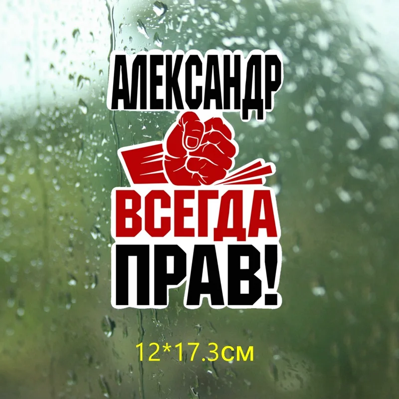 Tri Mishki WCS273 12x17 3 см кулак Александр всегда прав! Забавные красочные автомобильные