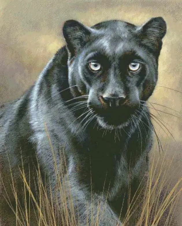 

Набор для шитья с черным леопардовым принтом, Набор для вышивки крестиком 14 карат, без рисунка, «сделай сам», ручная работа, Декор