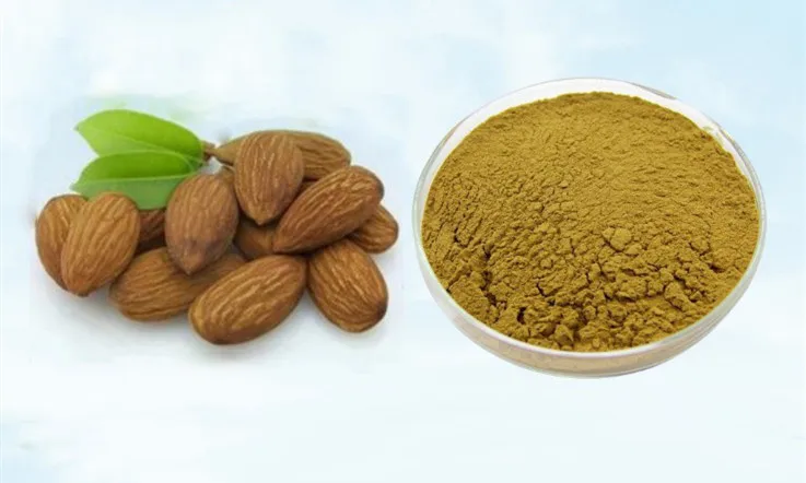 

Hot Sale Vitamin b17 Supplement,Anti-cancer,50g-1000g Bitter Almond Extract Powder 30:1,Bitter Apricot Kernel