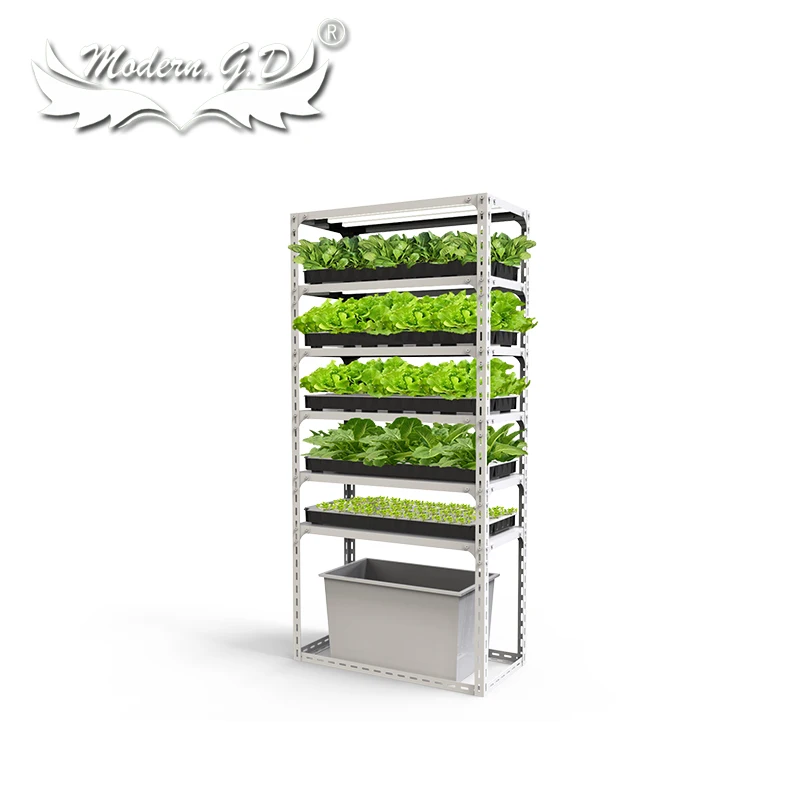 

Интеллигентая (ый) овощная сеялка парниковых гидропоники беспочвенная культура комнатные трубки