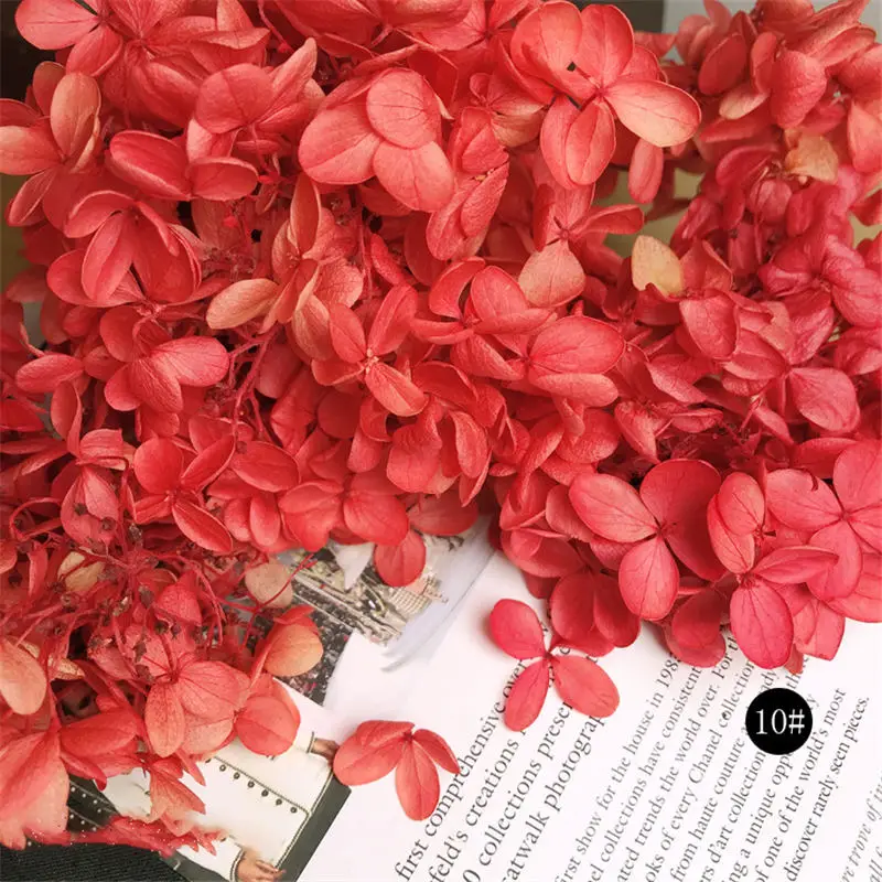 Дизайн ногтей гербарий украшения Маникюр DIY ремесла наклейка с цветком 3D живой цветок набор лепестков для ногтей советы по изготовлению ювелирных изделий - Цвет: 10 Red