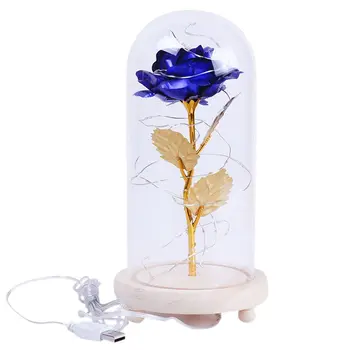 

Eternal Life Flower Glass Cover Rose LED USB Lamp Birthday Valentine's Christmas Day Mother Gifts