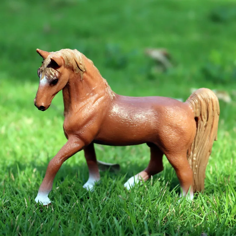 PL127-14714号马(田纳西沃克母马)