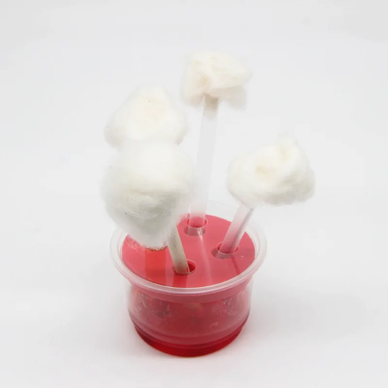 

Science And Technology Small Production Novelty Teaching Aids Toy Science Experiment Equipment Who Flowers Early Potential Open