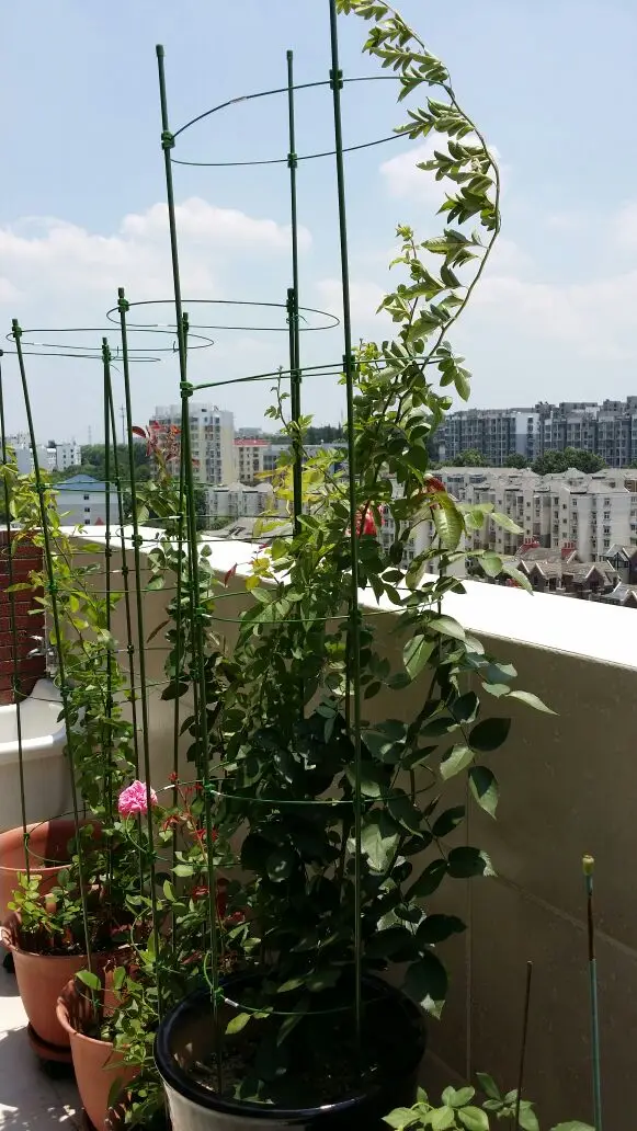 TB292ActXXXXXXcXpXXXXXXXXXX_!!0-rate