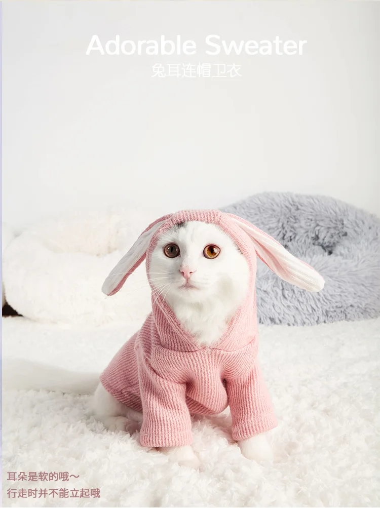 10944120057_1411948462