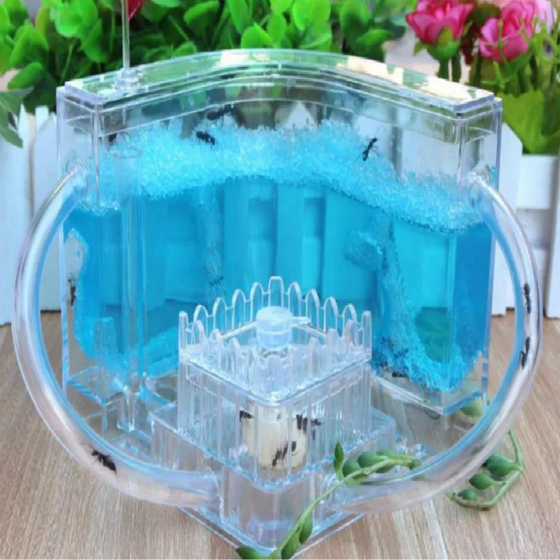 workshop for ant farm ants farm ant house Feeding box with LED free shipping