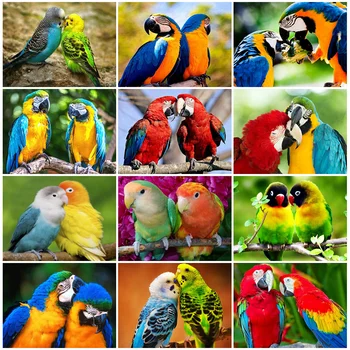 

HUACAN Full Drill Square Diamond Painting 5D Parrot Handmade Diamond Embroidery Bird Animal Home Decoration
