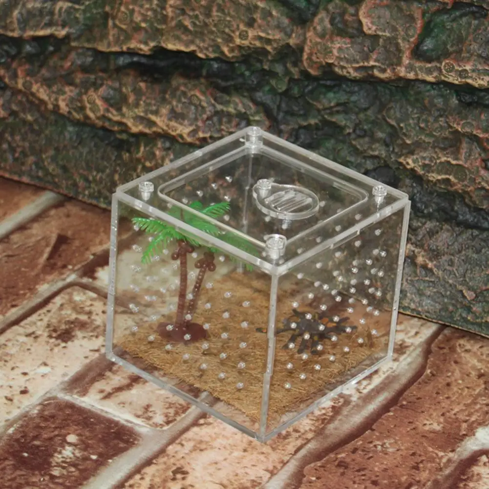 Прозрачная акриловая коробка для разведения рептилий, кормушки для животных, клетки для разведения пауков, скорпионов, мантионов, насекомых, ящериц, паук, клетка для разведения