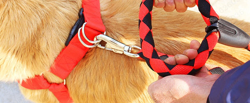 TB2MR1Yo7KWBuNjy1zjXXcOypXa_!!1663967291副本