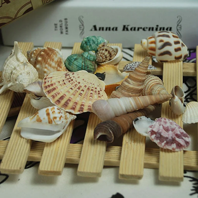 Natural Shell Decoration Cone Conch DIY Crafts Supplies Mediterranean Shellss Conch Starfish Landscape Aquarium Decorative AB
