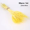 50pcs-yellow-50cm