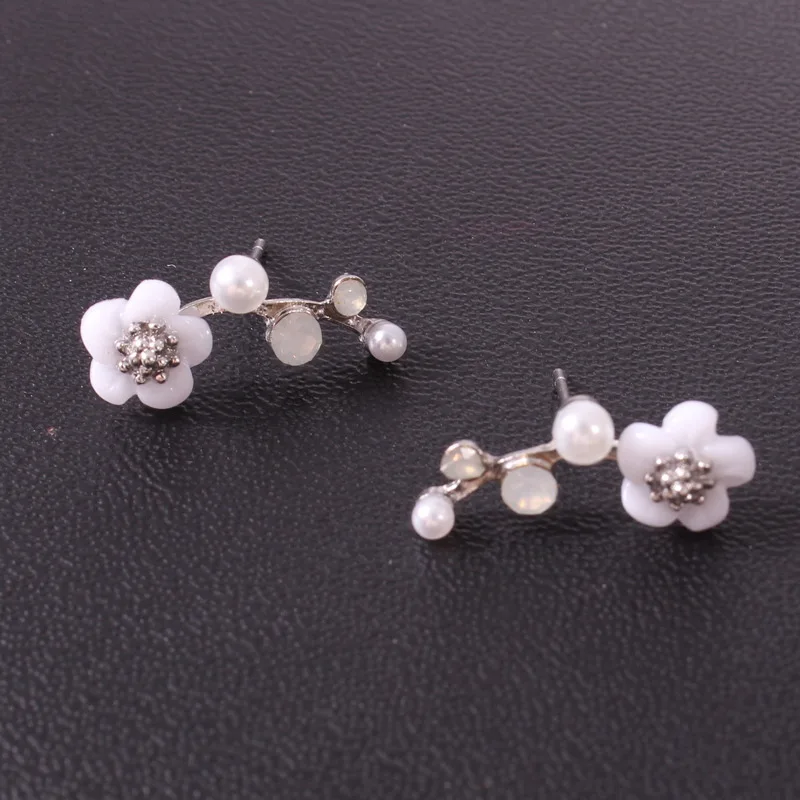 2Z5_9352799537_1548632509