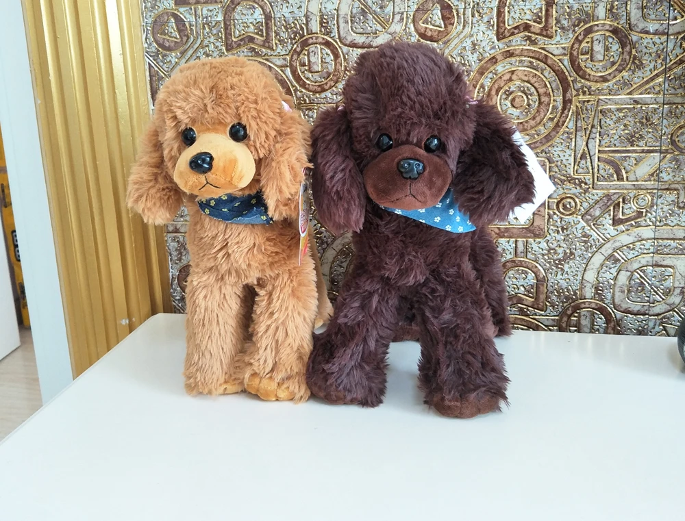 IMG20190813092635