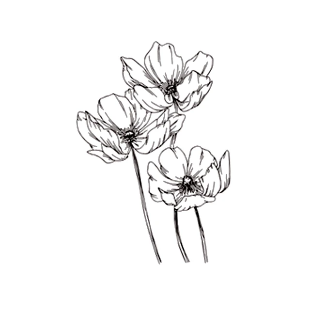 Transparent Stamp Sketch Flowers Clear Stamps Fairy Rubber Silicone Seal for DIY Scrapbooking Card Making Album Photo Decoration k