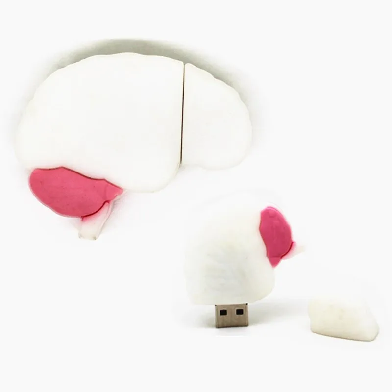 USB флеш-накопитель с мультяшным мозгом, модель человеческих органов, 128 Мб, флеш-накопитель, 64 ГБ, карта памяти, 4 ГБ, 8 ГБ, 16 ГБ, 32 ГБ, сердце/зуб/почка, флешка