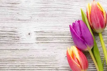 

Vinyl Custom Photography Backdrops Prop Flower and Wood Planks Theme Photo Studio Background FW19912-718966