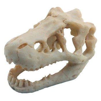 

Resin Simulation Skull Fish Tank Decoration Aquarium Glass Container Decoration
