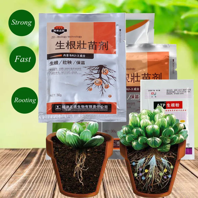 2pc Extra Fast plant rooting powder flowers trees Transplanting