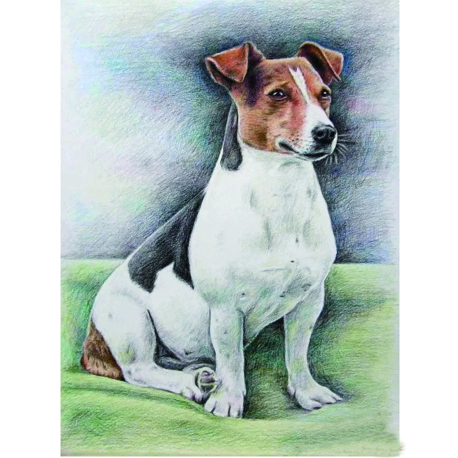 5d Diamond,Embroidery jack russel Full square diy Diamond Painting cute pet Cross Stitch Mosaic dog Crafts Diamond Pattern deocr