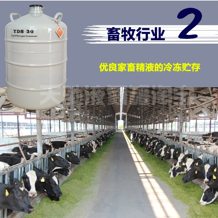 TB2ZNWZdDtYBeNjy1XdXXXXyVXa_!!1738582091