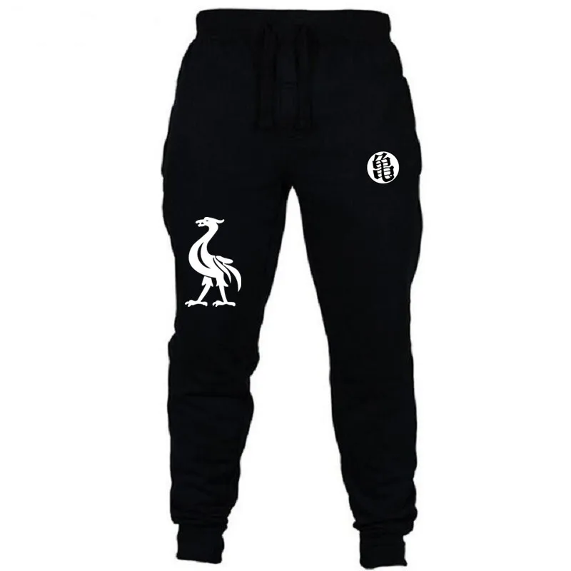 Men Pants New Fashions Dragon Ball Joggers Pants Male Casual Sweatpants Bodybuilding Fitness Track Pants Men's Keep warm Trouser