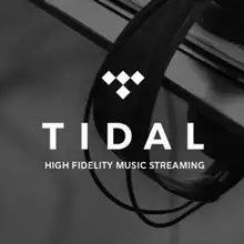 3 месяца гарантии для Tidal Hi-Fi Премиум подписка работа на ПК Смарт ТВ приставки Android IOS планшеты ПК