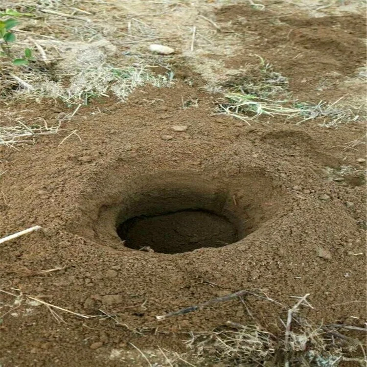 Hot sale!!! Portable handheld Gasoline Mini Driller Earth Auger Drilling machine Earth Auger Hole Digger Pit-picker