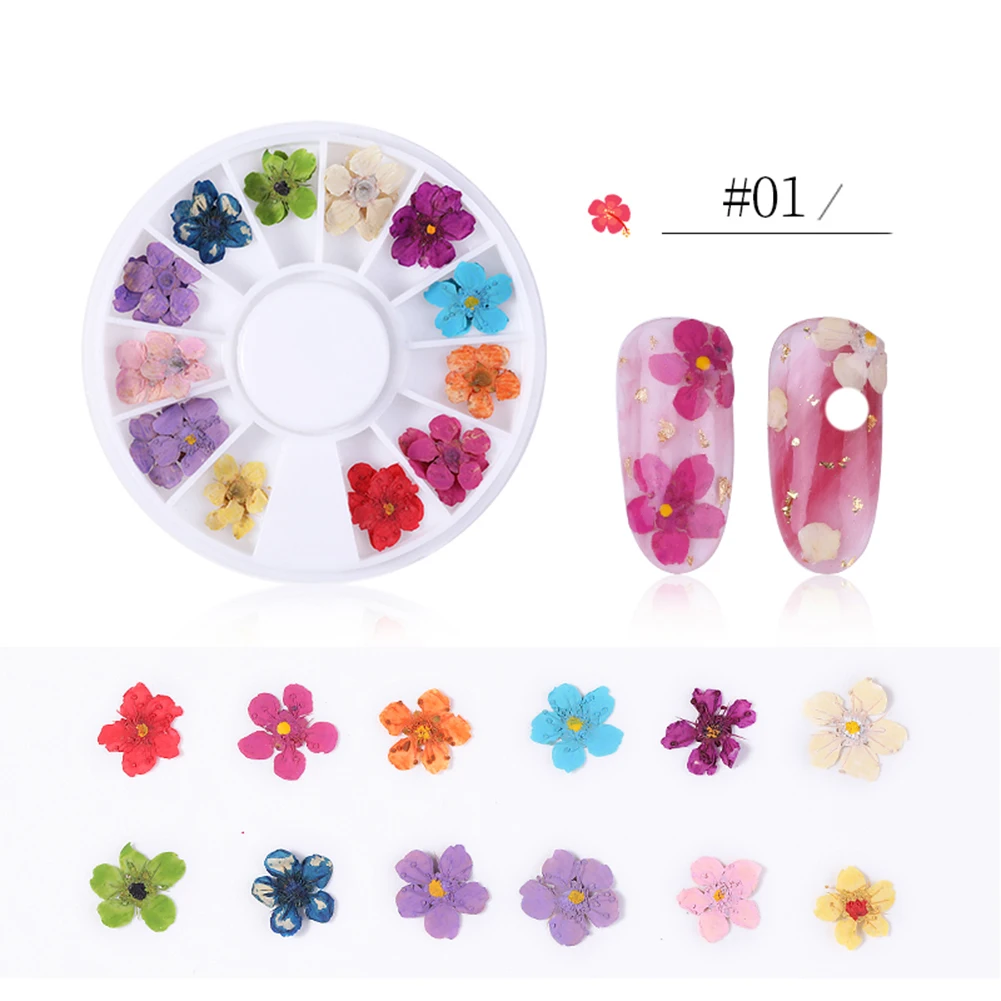 

Mixed Natural Nail Dried Flower Nail Art Decorations DIY 3D Pressed Blossom Flower Leaf Slider Sticker Polish Manicure