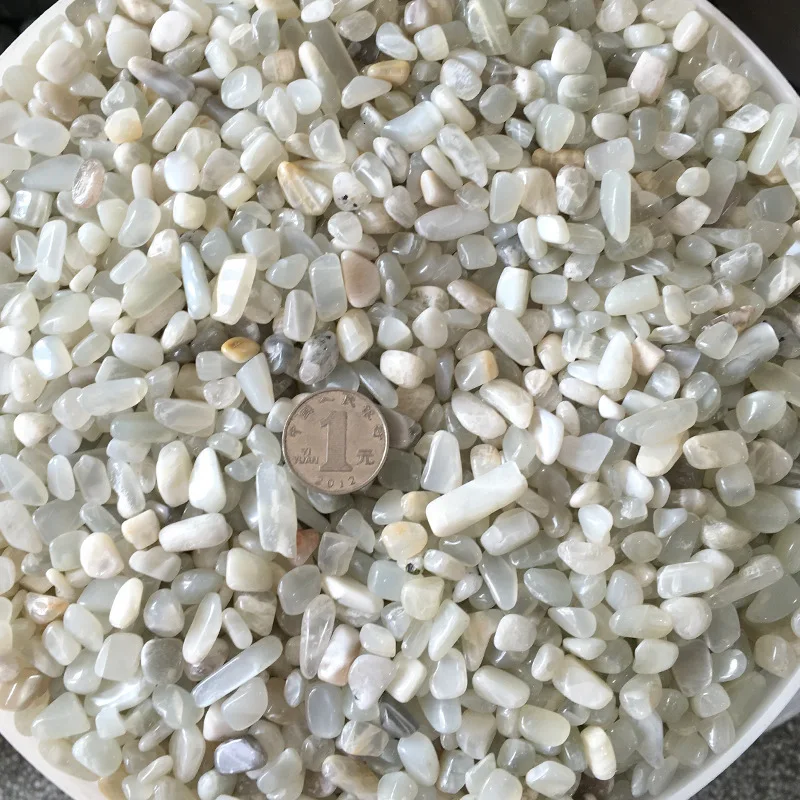 2875839411_1119757352