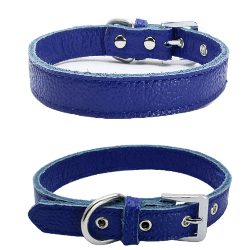 The new double-sided lychee head layer pet high-grade supplies - Цвет: Фиолетовый