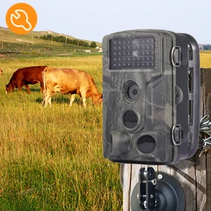 Description Picture 5 of itemHunting Camera Night Vision 1080P 20M Wildlife Trail Cameras Tracking  Infrared Hight Definition Wireless  Camera HC802A