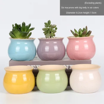 

Flower Pot Mini Colorful Creative Ceramic Planter Home Decoration Meaty Potted Flowerpot Succulent Pot Planters for Succulents