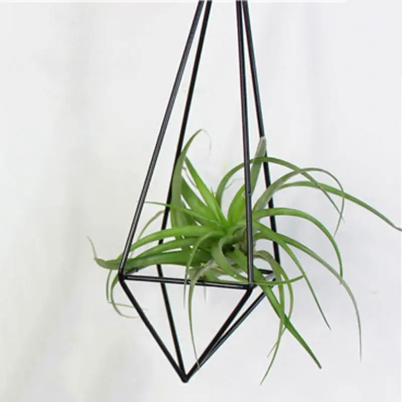 Подвесной Держатель для растений, Геометрическая металлическая стойка для растений