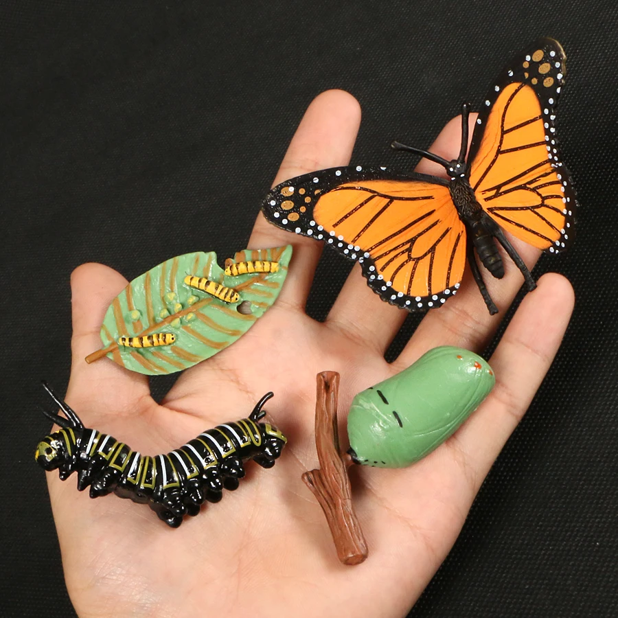 Simulation Life Cycle of Insect Animal Growth Cycle Models,Butterfly,Frog Action Figures Collection Science Educational Toys Kid star action figures Action & Toy Figures