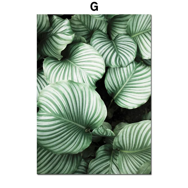 Aloe Succulents Monstera Green Plant Art Nordic Posters And Prints Wall Art Canvas Painting Wall Pictures For Living Room Decor G