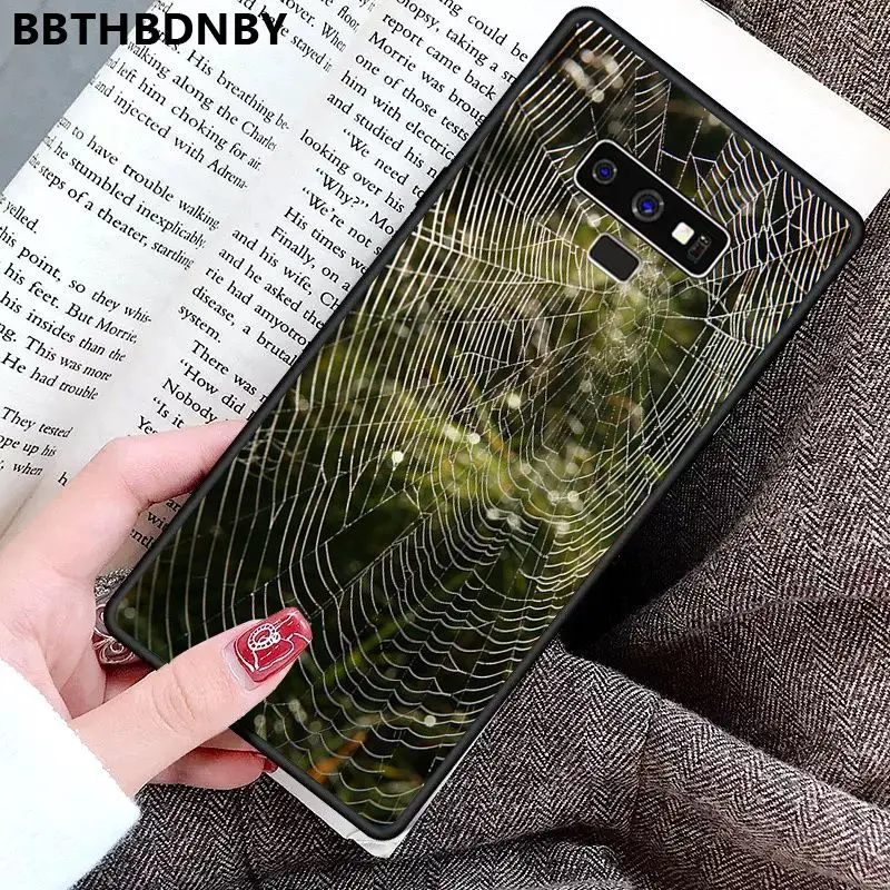 Spider Web