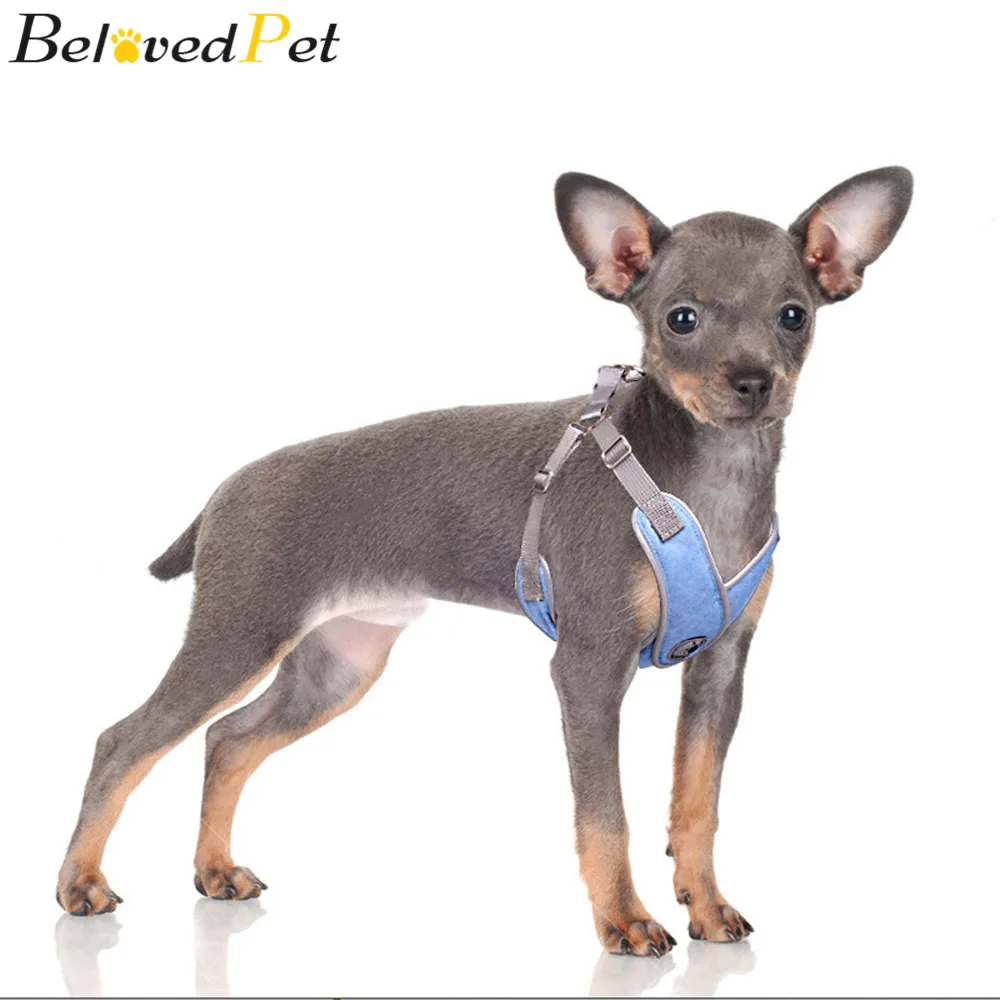 BlovedPet Горячая Стиль для домашних животных собак кошек жилетка-поводок сундук и