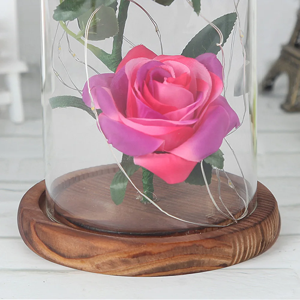 11087698529_892943239