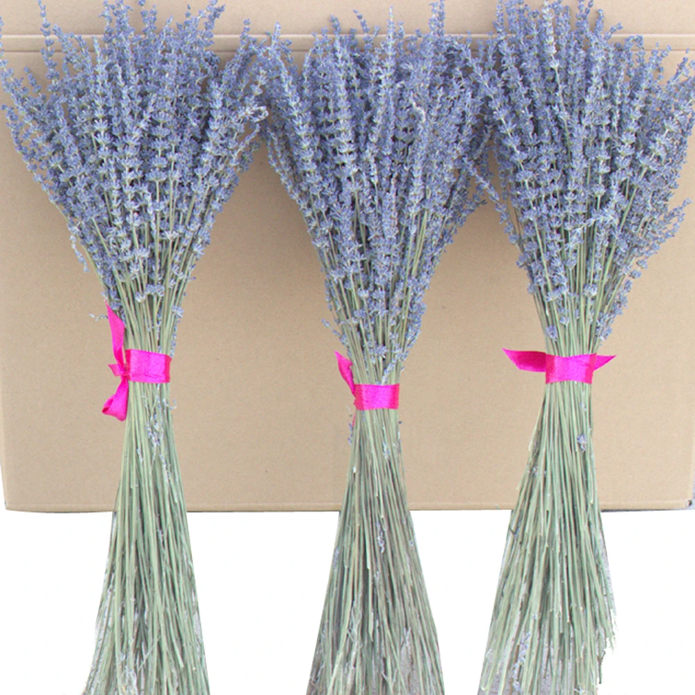 Buquê De Flores Secas Em Inglês, Buquê Natural De Lavanda E Flores, 100g - Flores  Secas Artificiais - AliExpress