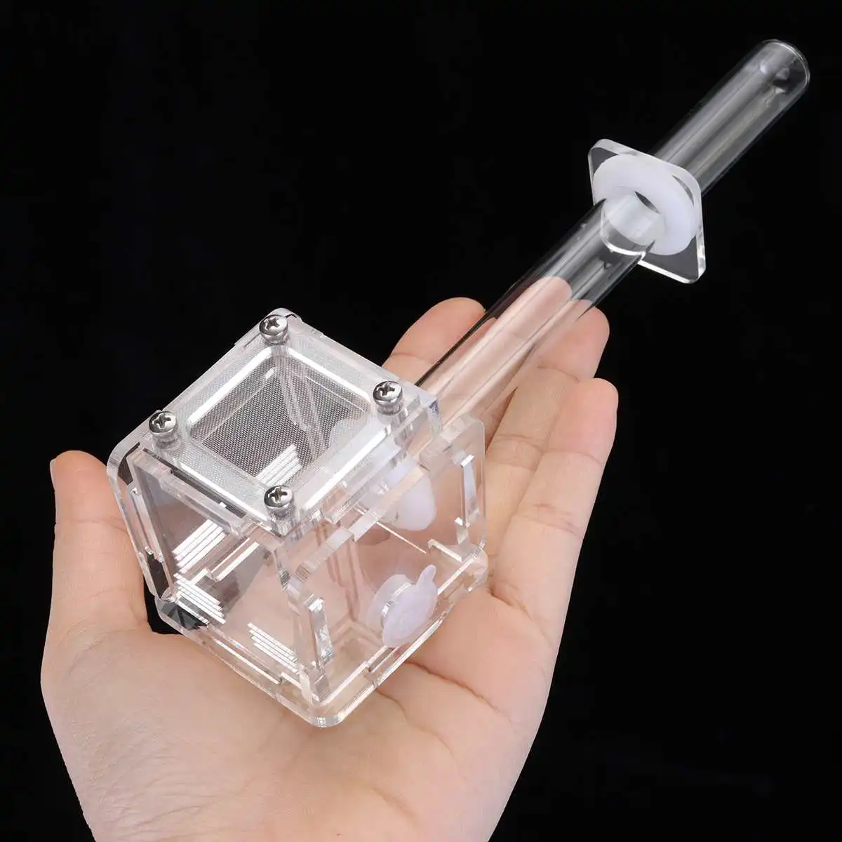 Granja ecológica de hormigas con nido de tubo y área de alimentación, hormigero para Taller, nido de hormiga con soporte